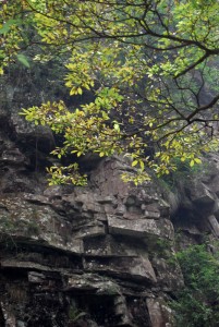 Zhangjiajie National Forest Park - photography by Jenny SW Lee