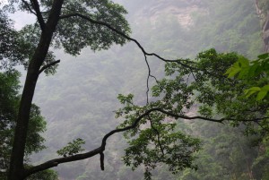 Zhangjiajie National Forest Park - photography by Jenny SW Lee