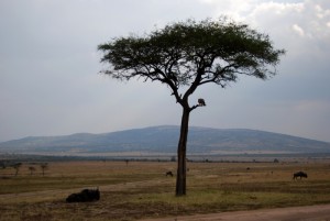 Kenya - photography by Jenny SW Lee