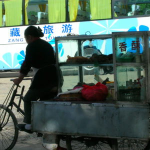A woman making her living, cycling along the streets with a large food cart. Her bicycle juxtaposed with that of the more advanced form of transportation, a bus.