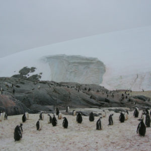 Petermann Island Antarctica - photography by Jenny SW Lee