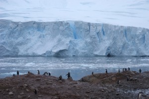 Neko Harbor Antarctica - photography by Jenny SW Lee