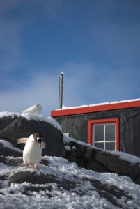 Gouldier Island Antarctica - photography by Jenny SW Lee