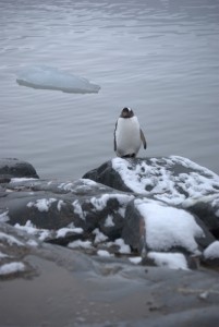 Jougla Point Antarctica - photography by Jenny SW Lee