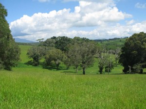 Atherton Tablelands Australia - photography by Jenny SW Lee