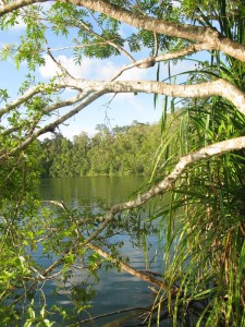 Atherton Tablelands Australia - photography by Jenny SW Lee