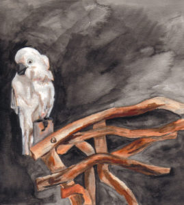 Cockatoo (part of a series of approx. 30 pieces) - watercolor by Jenny S.W. Lee