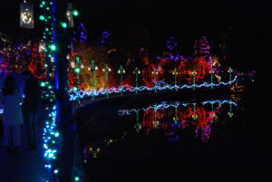 VanDusen Festival of Lights | Jenny S.W. Lee Photography