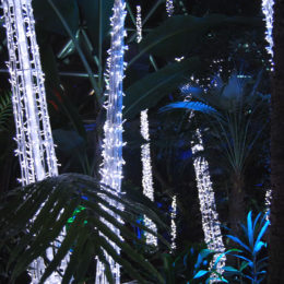 Bloedel Floral Conservatory in Queen Elizabeth Park during the holiday season