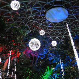 Bloedel Floral Conservatory in Queen Elizabeth Park during the holiday season