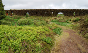 Aqueduct near Sete Cidades, Sao Miguel Azores Portugal - photography by Jenny SW Lee