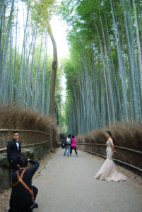 Arashiyama Bamboo Grove, Kyoto | Photography by Jenny S.W. Lee