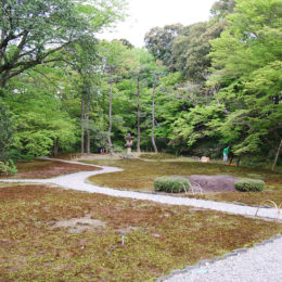 Isui-en Garden in Nara, Japan | Photography by Jenny S.W. Lee