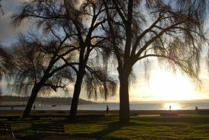 Golden Gardens Park | Photography by Jenny S.W. Lee