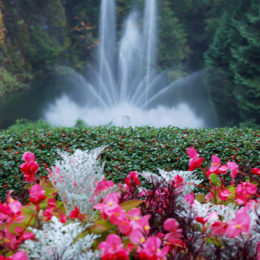 Butchart Garden in Brentwood Bay, British Columbia, Canada | Photography by Jenny S.W. Lee