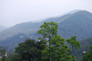 Ba Na Hills, Da Nang, Vietnam | Photography by Jenny S.W. Lee