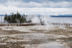 West Thumb Geyser Basin | Yellowstone National Park | Photography by Jenny S.W. Lee