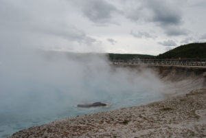 Grand Prismatic Hot Spring | Midway Geyser Basin | Photography by Jenny S.W. Lee