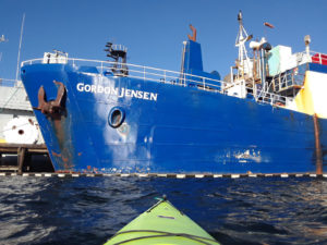 Kayaking at South Lake Union (SLU) | Photography by Jenny SW Lee