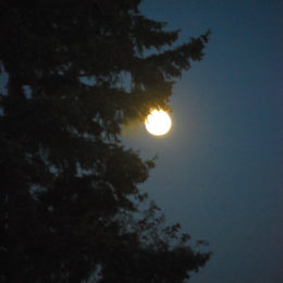 October 30, 2020 - the day before the Full Moon and Halloween