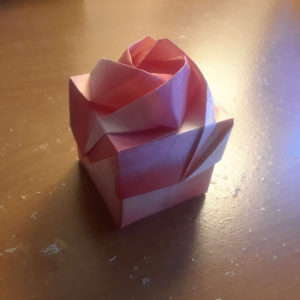 Rose gift box | Design by Shin Han Gyo