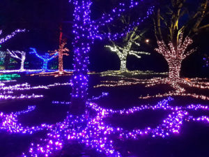 VanDusen Festival of Lights | Jenny S.W. Lee Photography