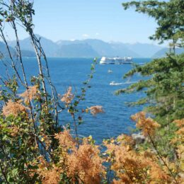 Whytecliff Park, West Vancouver, BC | Photography by Jenny S.W. Lee