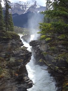 Athabasca Falls, Jasper National Park, Alberta Canada | Photography by Jenny S.W. Lee