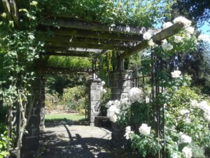 Woodland Park Rose Garden, Seattle, WA | Photography by Jenny S.W. Lee