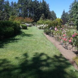 Woodland Park Rose Garden, Seattle, WA | Photography by Jenny S.W. Lee
