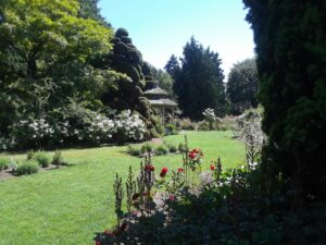 Woodland Park Rose Garden, Seattle, WA | Photography by Jenny S.W. Lee