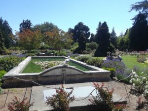 Woodland Park Rose Garden, Seattle, WA | Photography by Jenny S.W. Lee