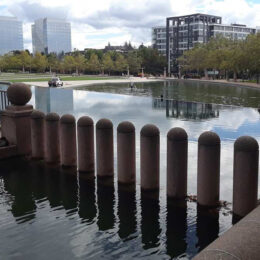 Bellevue Downtown Park, WA | Photography by Jenny S.W. Lee