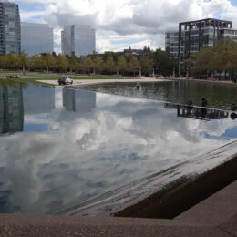 Bellevue Downtown Park, WA | Photography by Jenny S.W. Lee