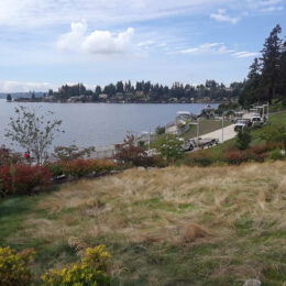 Meydenbauer Bay Park, Bellevue, WA | Photography by Jenny S.W. Lee