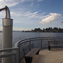 Meydenbauer Bay Park, Bellevue, WA | Photography by Jenny S.W. Lee