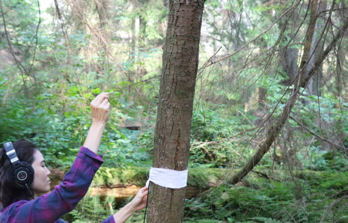 Jenny S.W. Lee Field Recording, Stanley Park Beaver Lake