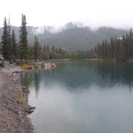 Horseshoe Lake Trail, Denali National Park, Alaska | Photography by Jenny S.W. Lee