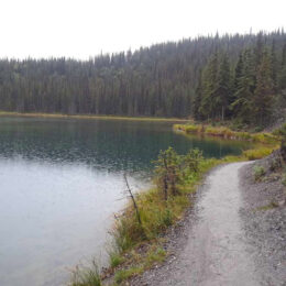 Horseshoe Lake Trail, Denali National Park, Alaska | Photography by Jenny S.W. Lee