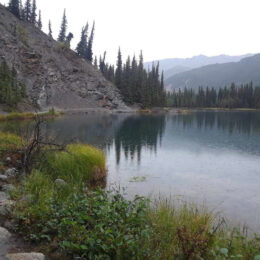 Horseshoe Lake Trail, Denali National Park, Alaska | Photography by Jenny S.W. Lee