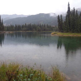 Horseshoe Lake Trail, Denali National Park, Alaska | Photography by Jenny S.W. Lee