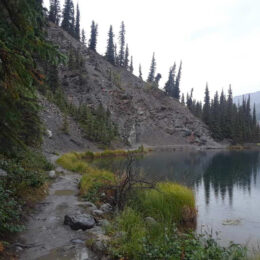 Horseshoe Lake Trail, Denali National Park, Alaska | Photography by Jenny S.W. Lee