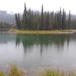 Horseshoe Lake Trail, Denali National Park, Alaska | Photography by Jenny S.W. Lee