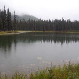 Horseshoe Lake Trail, Denali National Park, Alaska | Photography by Jenny S.W. Lee