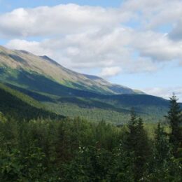 Kenai Fjords National Park. Harding Icefield Trail, Alaska | Photography by Jenny S.W. Lee