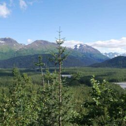 Kenai Fjords National Park. Harding Icefield Trail, Alaska | Photography by Jenny S.W. Lee