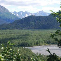 Kenai Fjords National Park. Harding Icefield Trail, Alaska | Photography by Jenny S.W. Lee