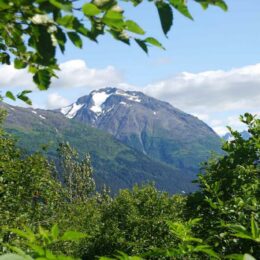 Kenai Fjords National Park. Harding Icefield Trail, Alaska | Photography by Jenny S.W. Lee