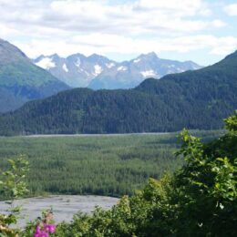 Kenai Fjords National Park. Harding Icefield Trail, Alaska | Photography by Jenny S.W. Lee