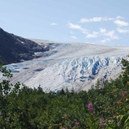 Exit Glacier